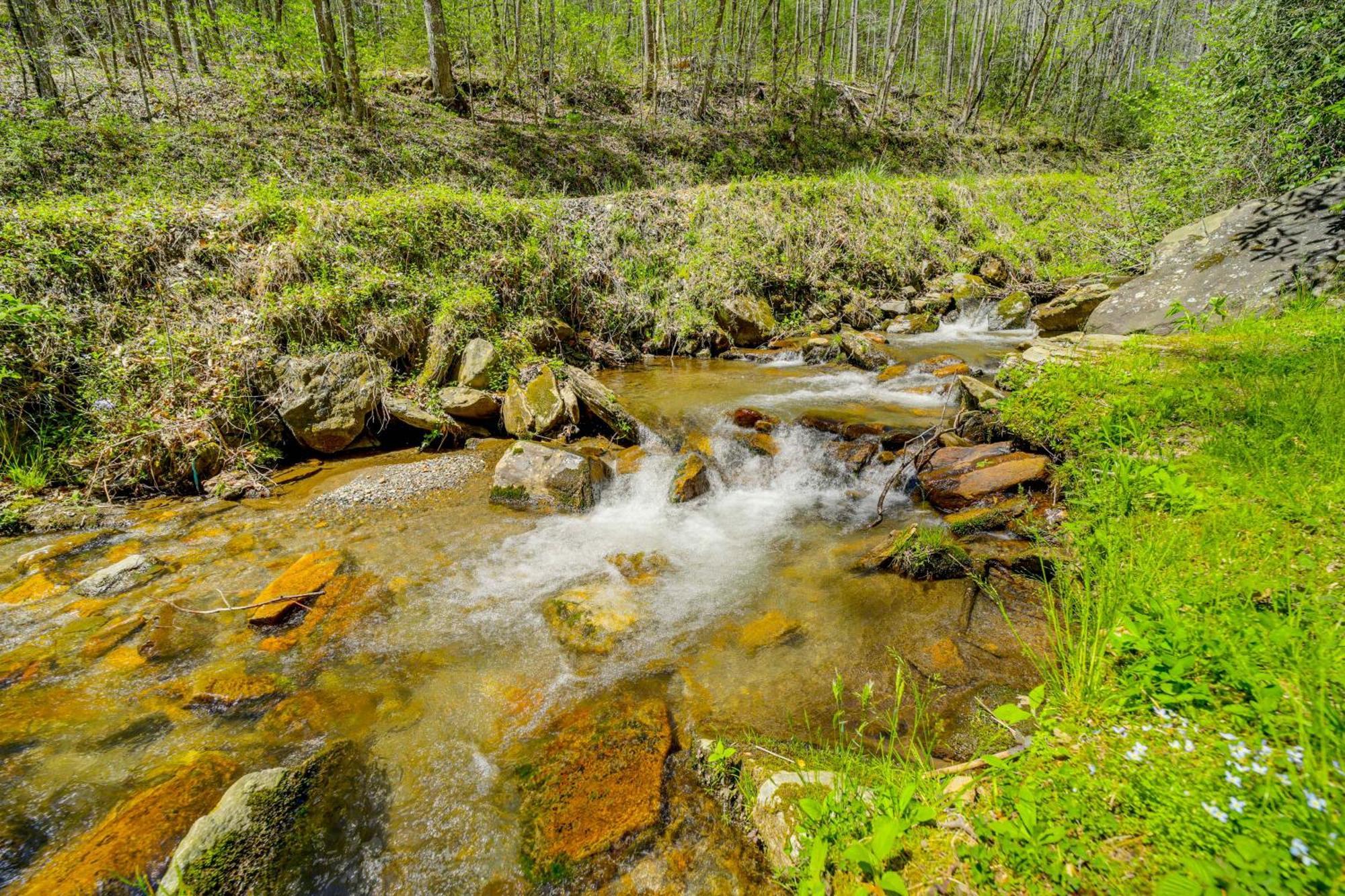 Creekside Whittier Cabin With Fire Pit Near Hiking! Ngoại thất bức ảnh